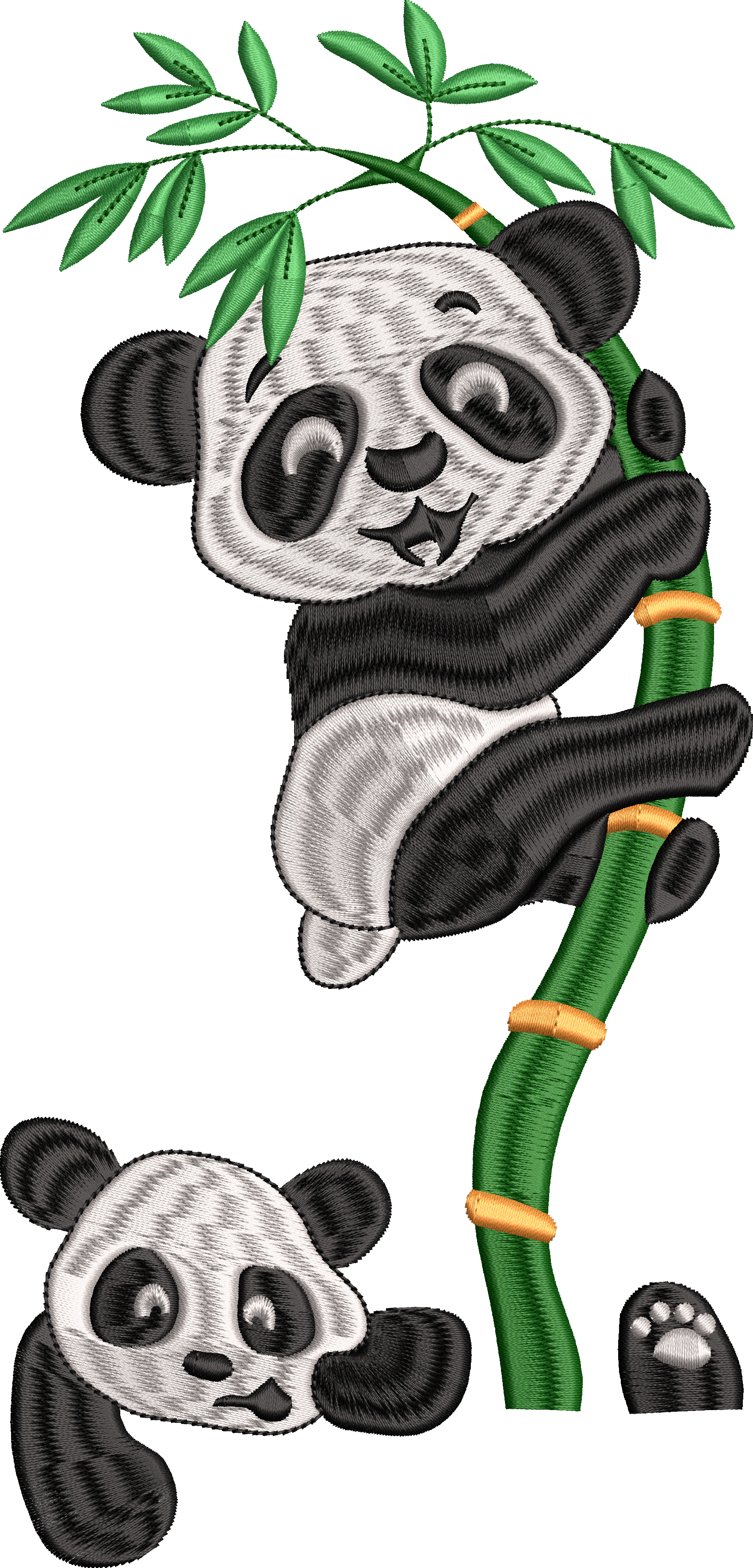 Ayı 16f panda