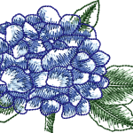 Çiçek 103f ortanca