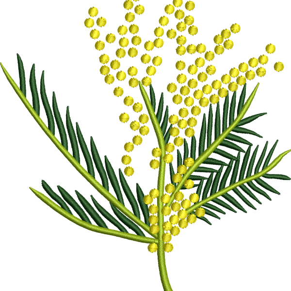 Çiçek 139f sarı mimoza