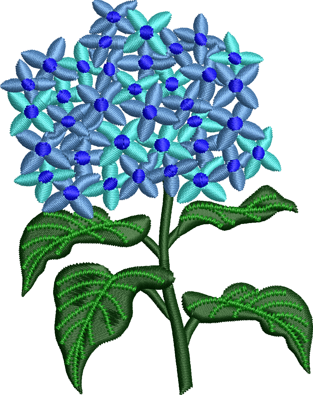 Flower 31f hydrangea