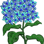 Flower 31f hydrangea