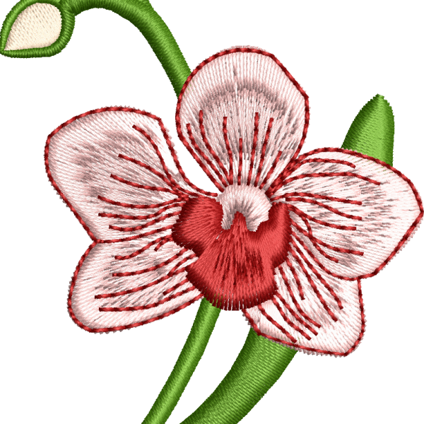 Çiçek 56f