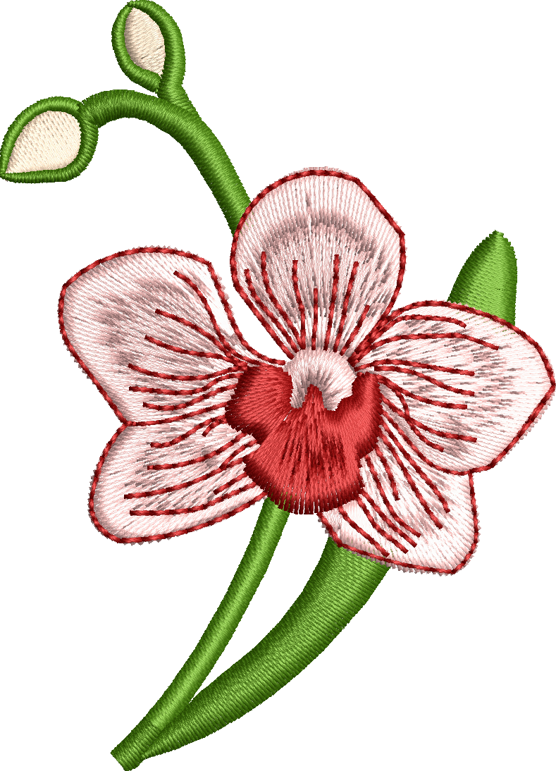 Çiçek 56f