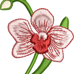 Çiçek 56f