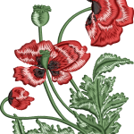 Çiçek 71f