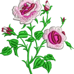 Çiçek 84f