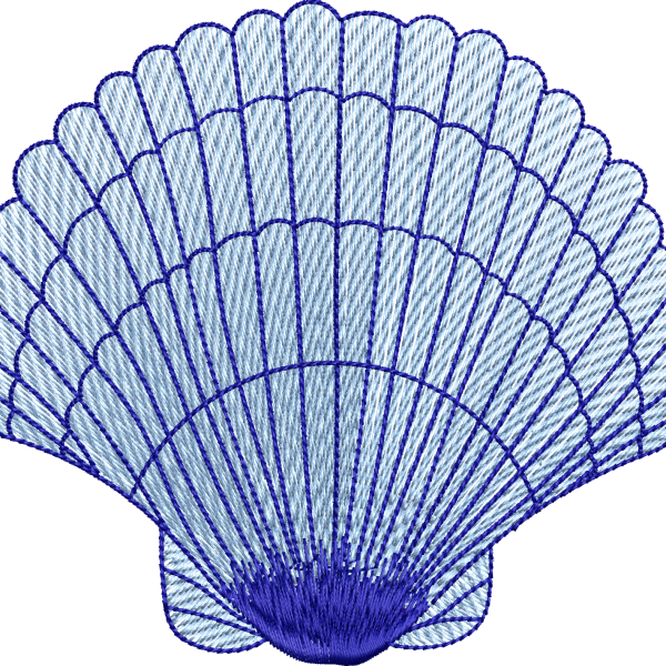 Deniz kabuğu 6f