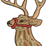 1f head of deer