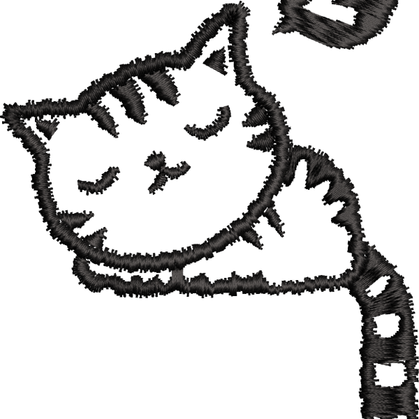 Kedi 4f uyuyan kedi