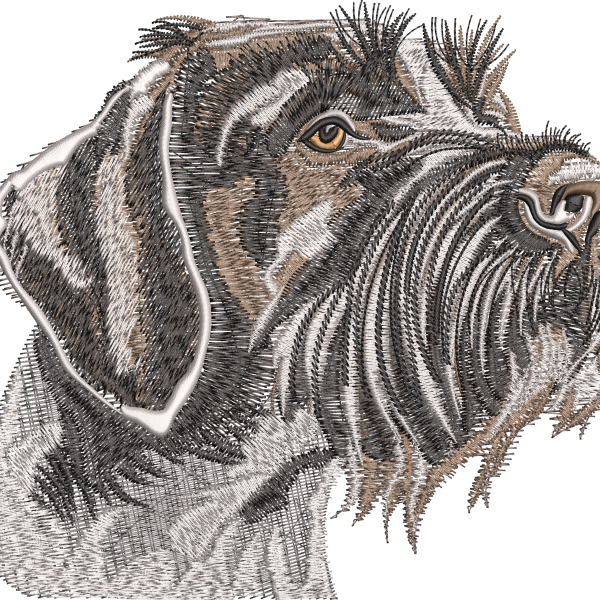 Köpek 2f