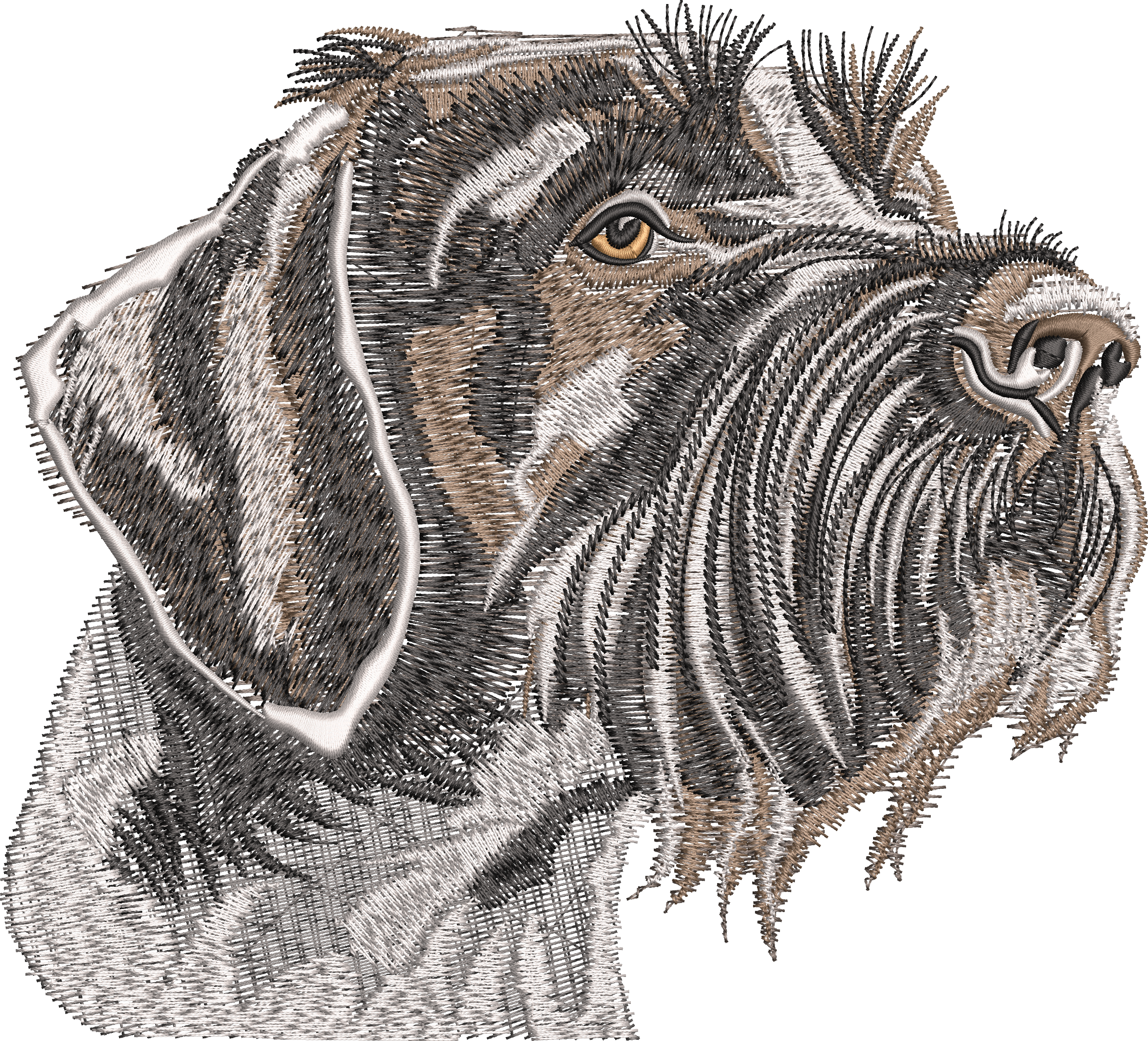 Köpek 2f