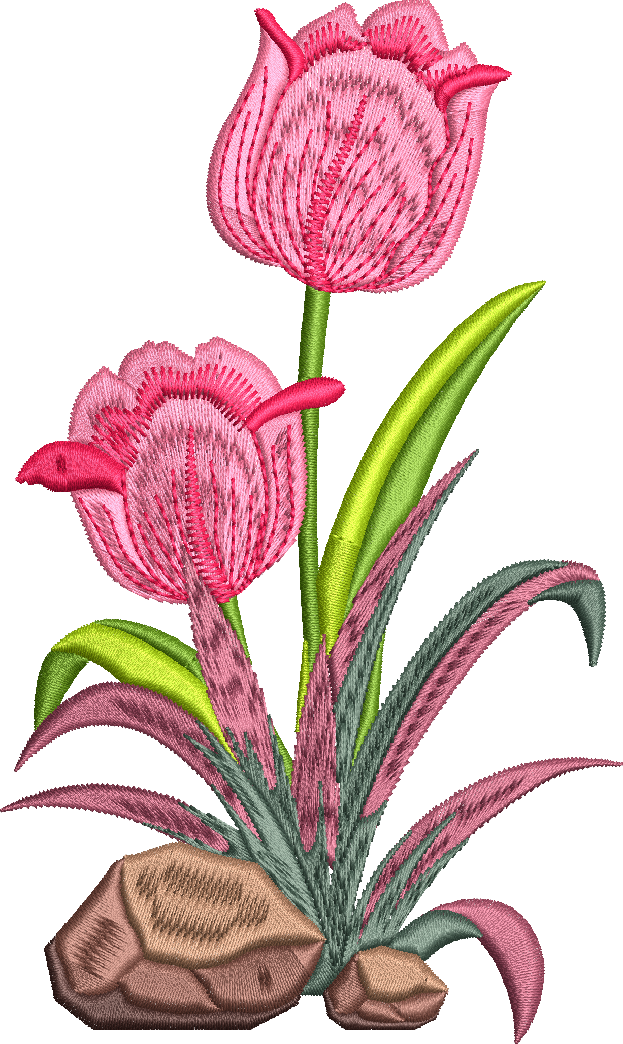 Lale 3f pembe