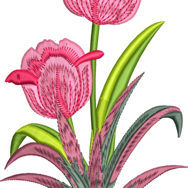 Lale 3f pembe