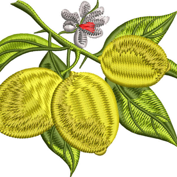 Limon 10f