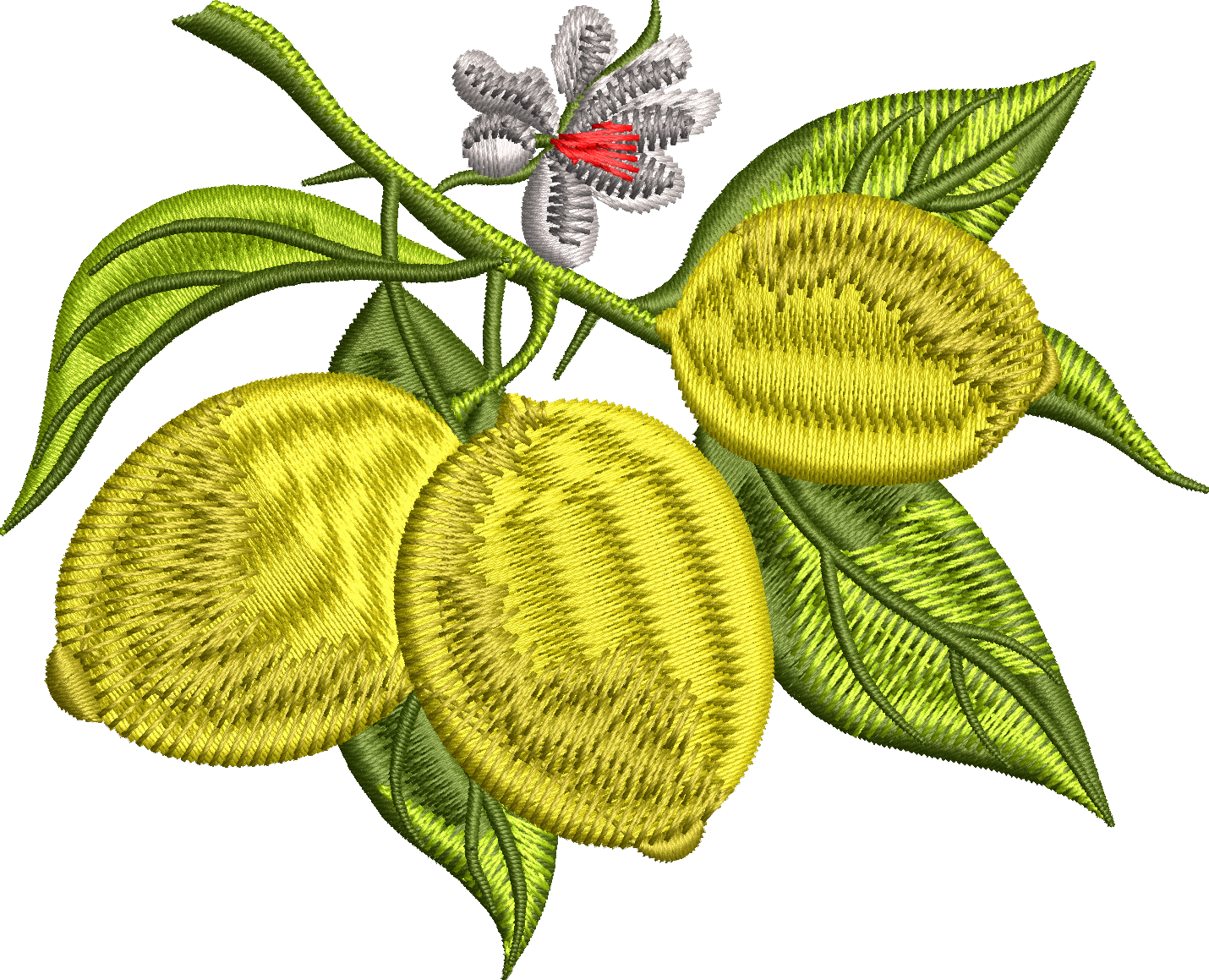 Limon 10f