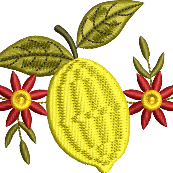 Limon 11f