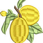 Limon 7f