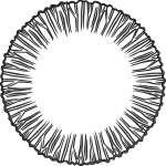 Napkin 94f aura