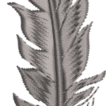 Tüy 3f