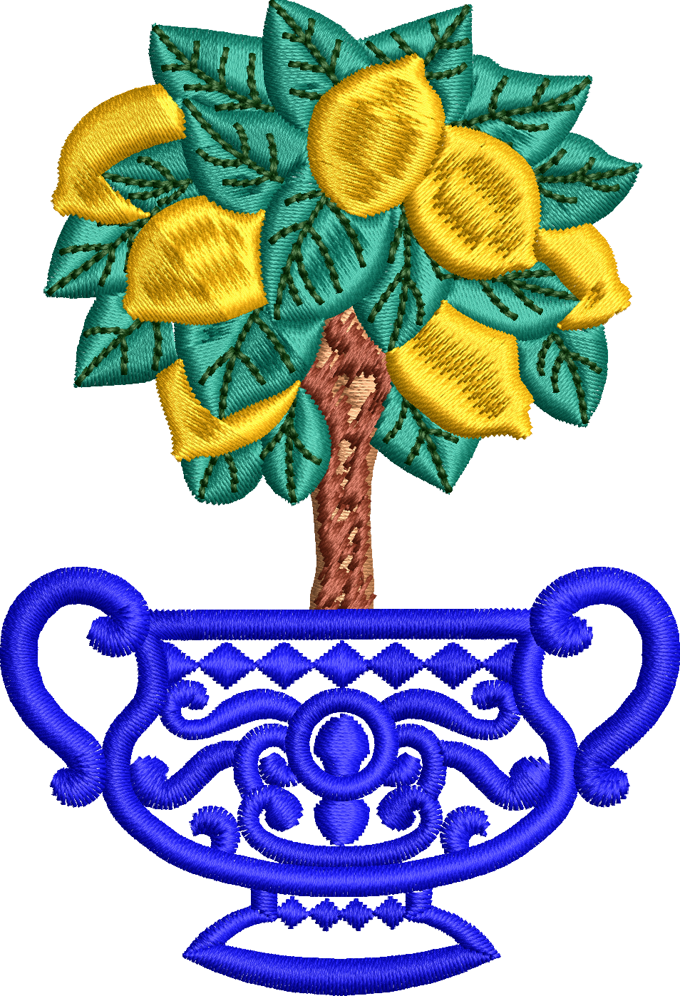 Vazo 81f limon ağacı