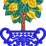 Vazo 81f limon ağacı