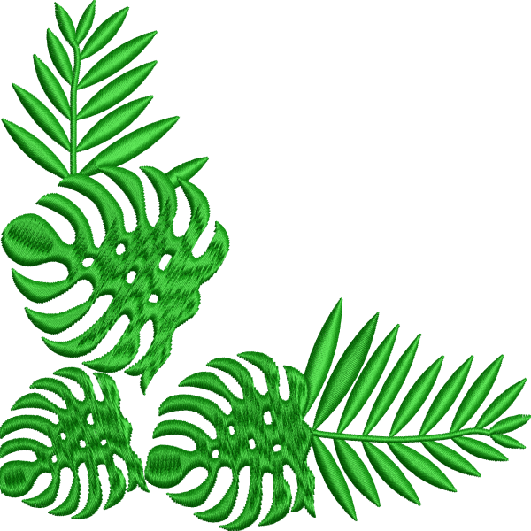 Yaprak 10f bambu monstera