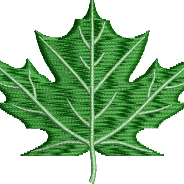 Yaprak 20f