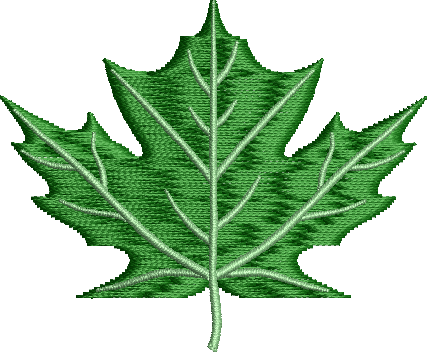 Yaprak 20f