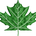 Yaprak 20f