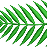 Yaprak 6f bambu
