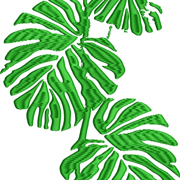 Yaprak 9f monstera