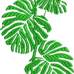 Yaprak 9f monstera