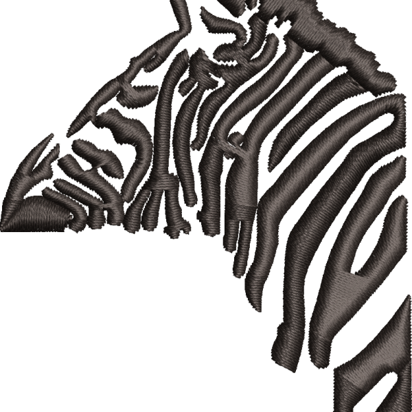 Zebra 1f