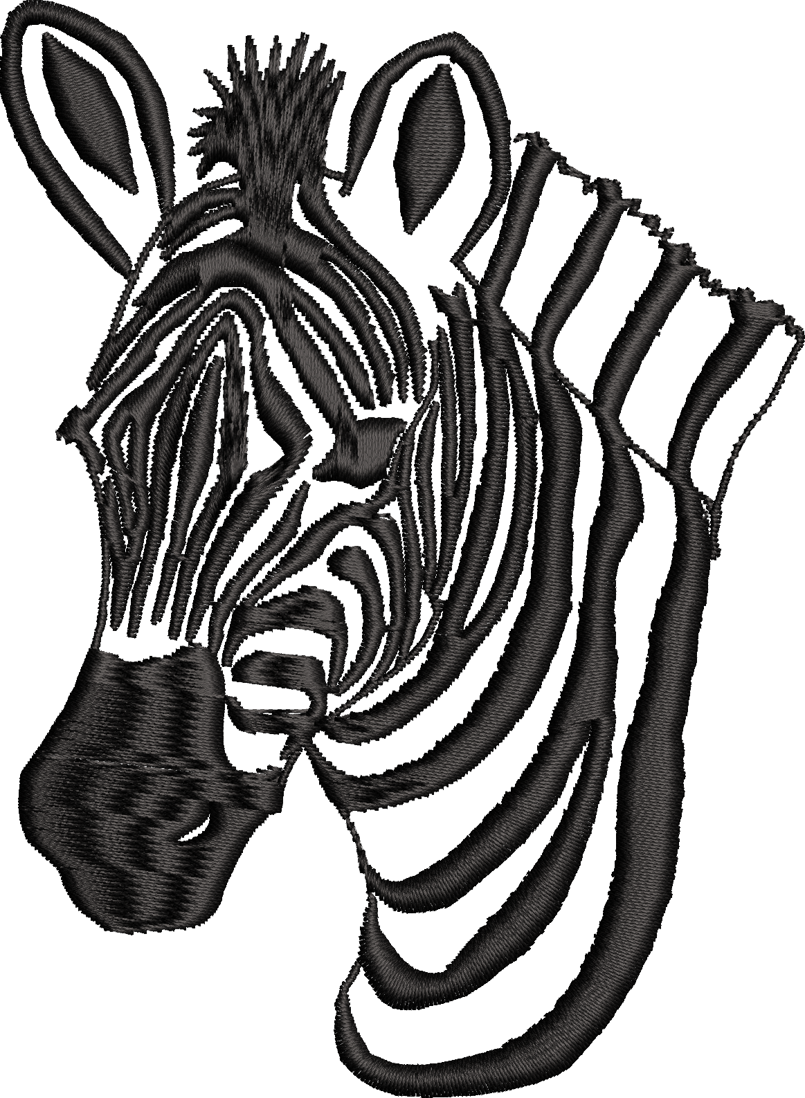 Zebra 2f