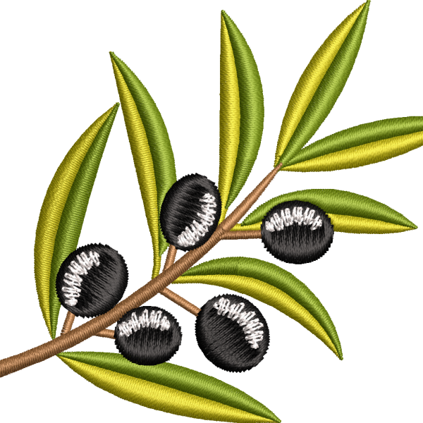 Zeytin 2f zeytin dalı